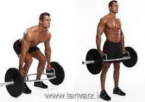 ددلیفت با هالتر Trap